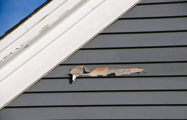 Best Property Management Cleanouts  in Culver City, CA